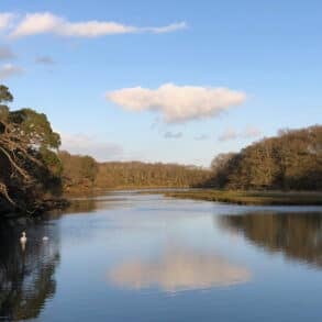 Newtown River at Ningwood