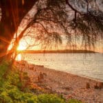 Bembridge Beach