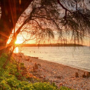 Bembridge Beach