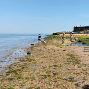 Parents and children playing on Fort Vic beach