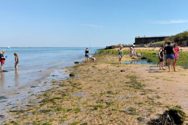 Parents and children playing on Fort Vic beach