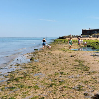 Parents and children playing on Fort Vic beach