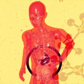 Illustration of an xray of a person holding their gut