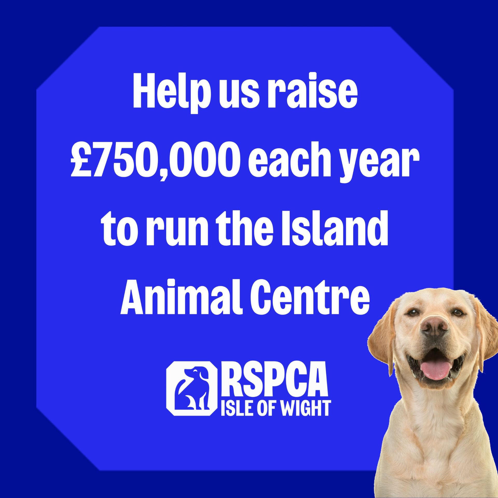 Help raise £750,00 per year for IW RSPCA message