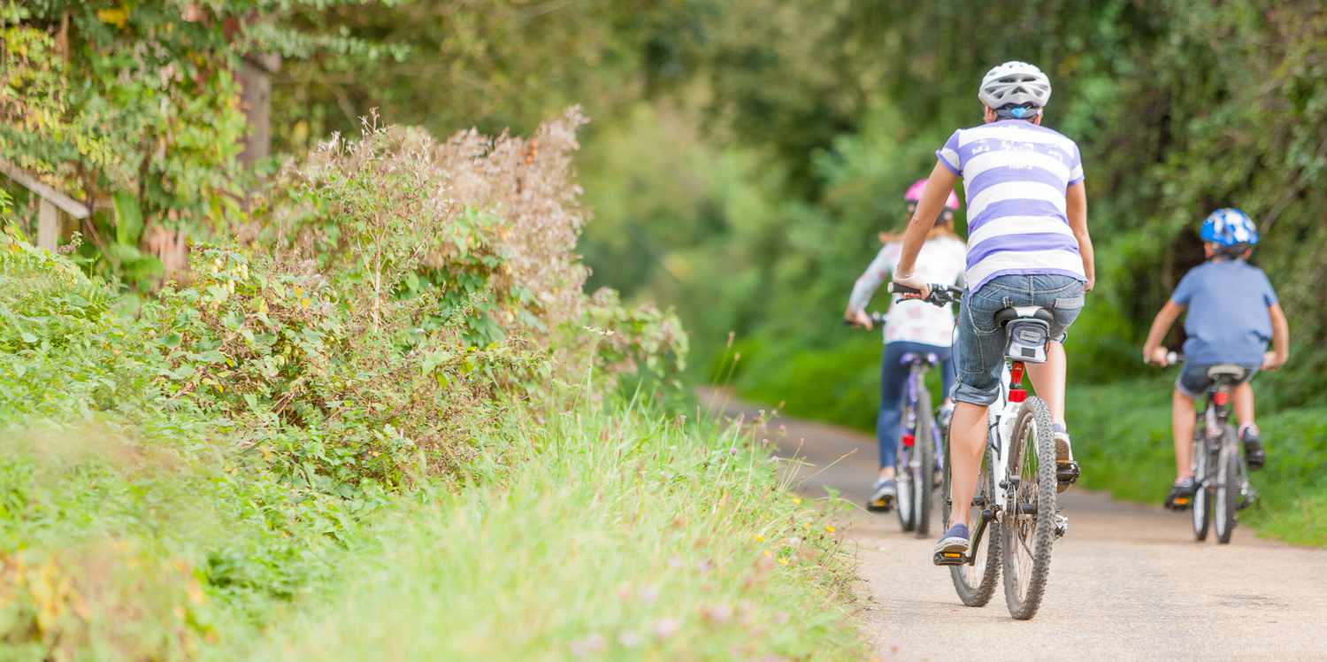 Family cycling on yhe Red Squirrel Trail