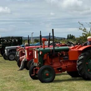 Vintage Tractors