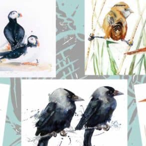 Watercolour Paintings of birds by Angela Hewitt