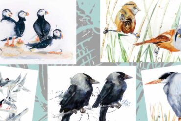 Watercolour Paintings of birds by Angela Hewitt