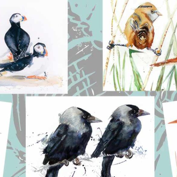Watercolour Paintings of birds by Angela Hewitt