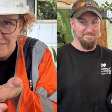 staff with cockroaches