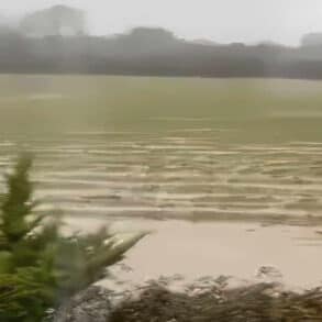 A field flooded in the winter in Gunville