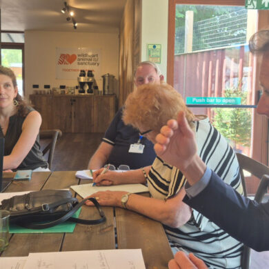 Joe Robertson MP and others at Sandown Roundtable