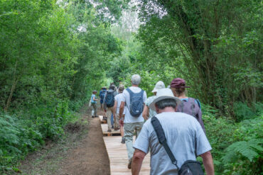 Biosphere Festival River and Beaver Yar Walk