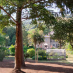 Garden of Under Rock, Bonchurch