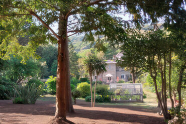 Garden of Under Rock, Bonchurch