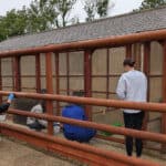 Staff from Glanvilles Damant and Prospect Mortgages painting the Rabbit enclosures