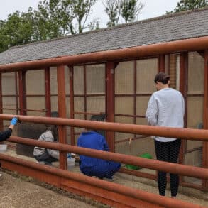 Staff from Glanvilles Damant and Prospect Mortgages painting the Rabbit enclosures