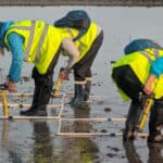 Volunteers planting at Calshot Restoration Site