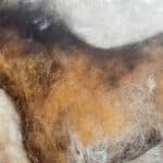 felted pony