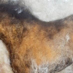 felted pony