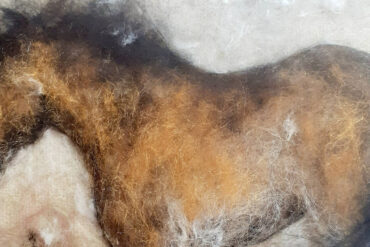 felted pony