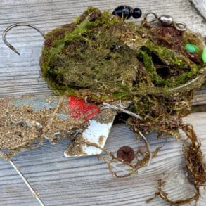 Discarded fishing hook