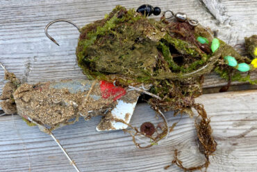 Discarded fishing hook