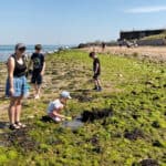 Families rockpooling on the beach