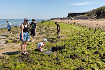 Families rockpooling on the beach