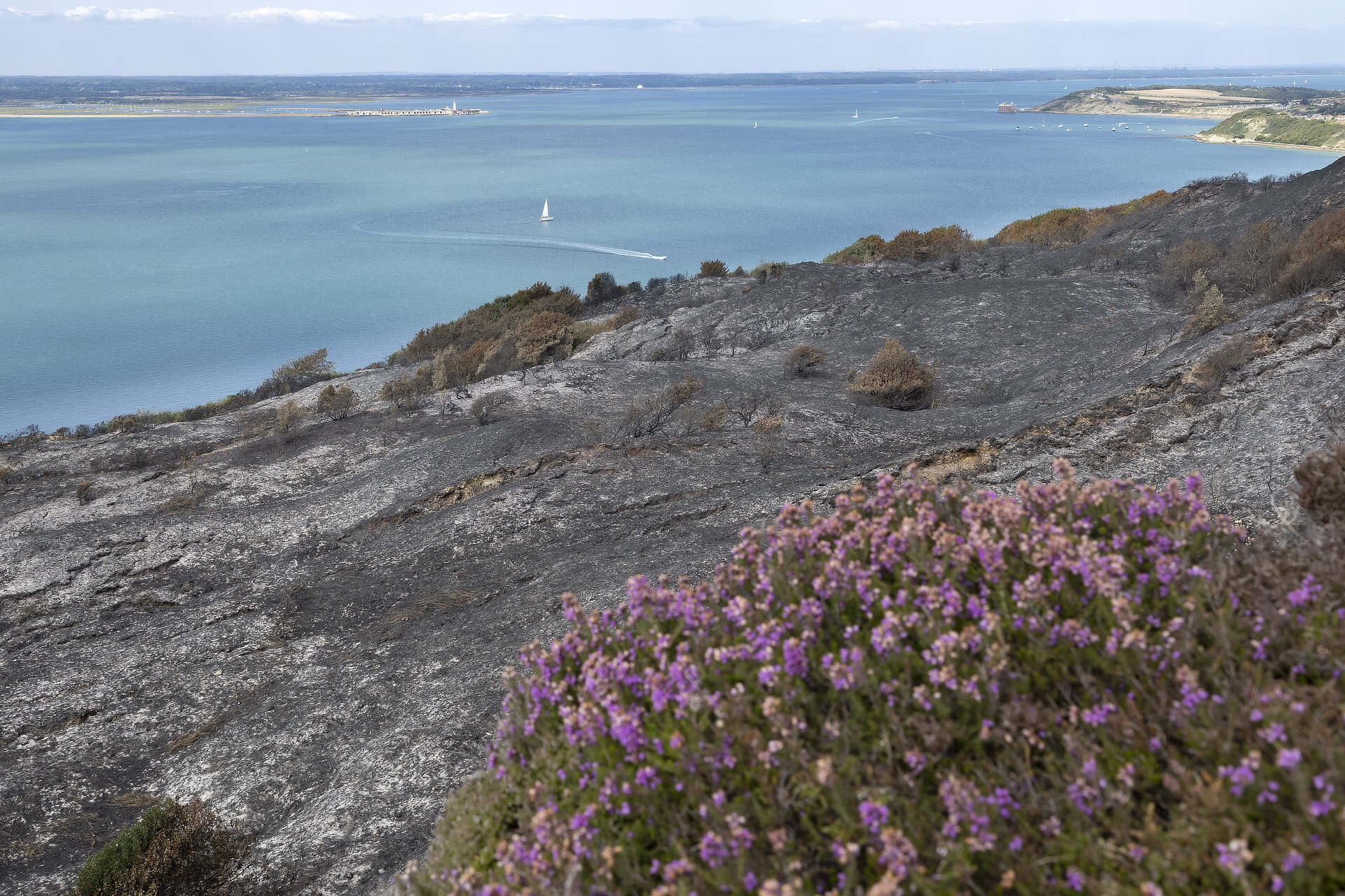 Aftermath and damage from a fire at Headon Warren on the Isle of Wight