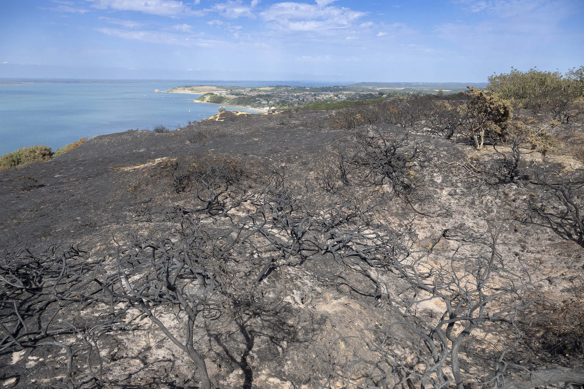 Aftermath and damage from a fire at Headon Warren on the Isle of Wight