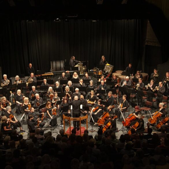IWSO concert July 2026