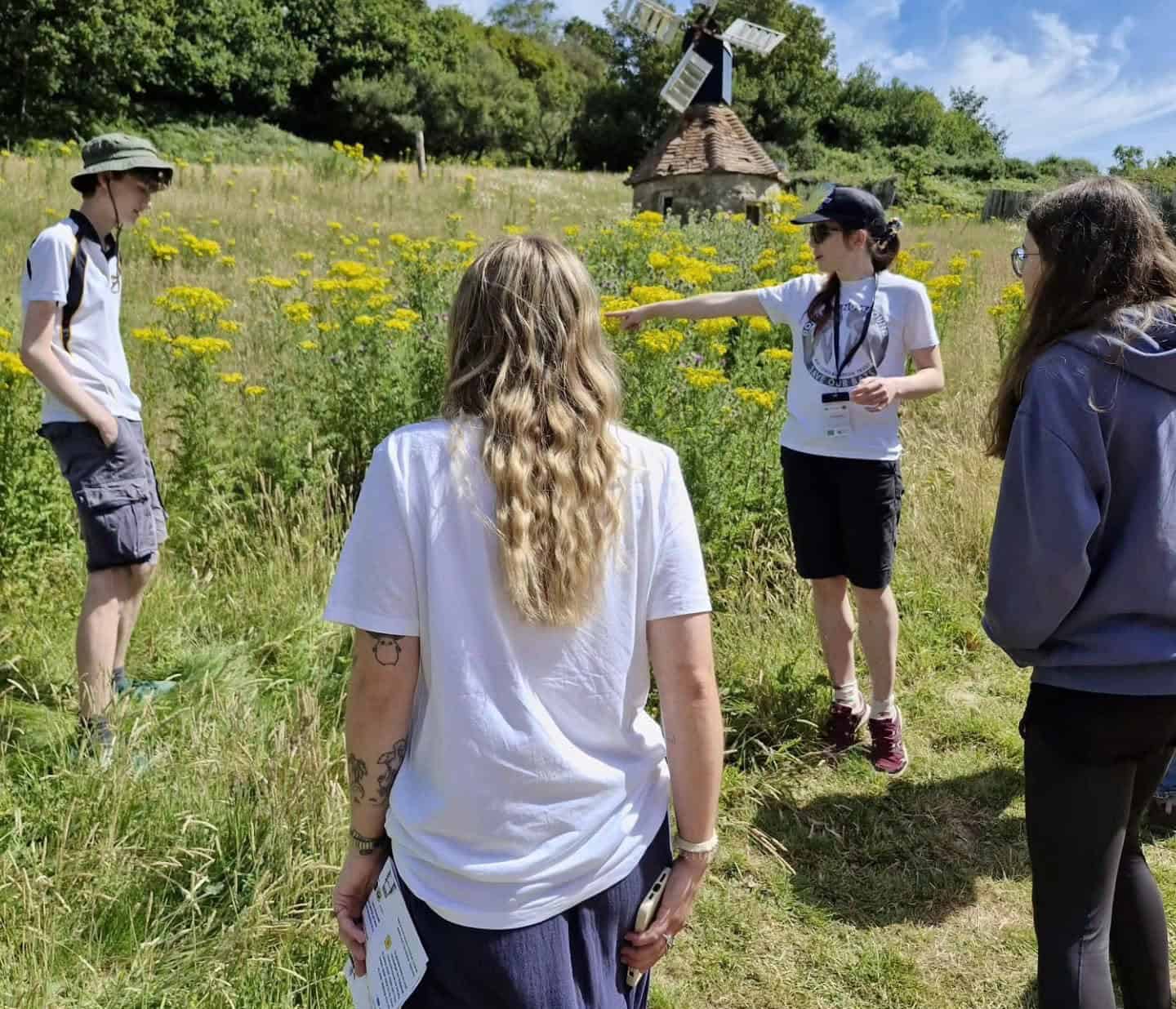 Walk leader pointing out the ragwort