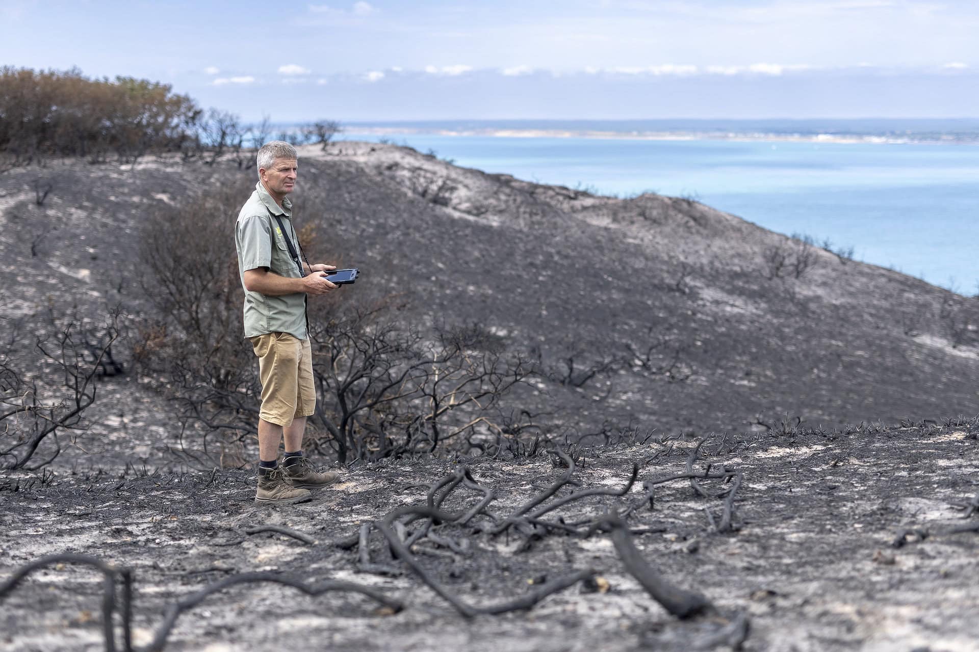 Aftermath and damage from a fire at Headon Warren on the Isle of Wight