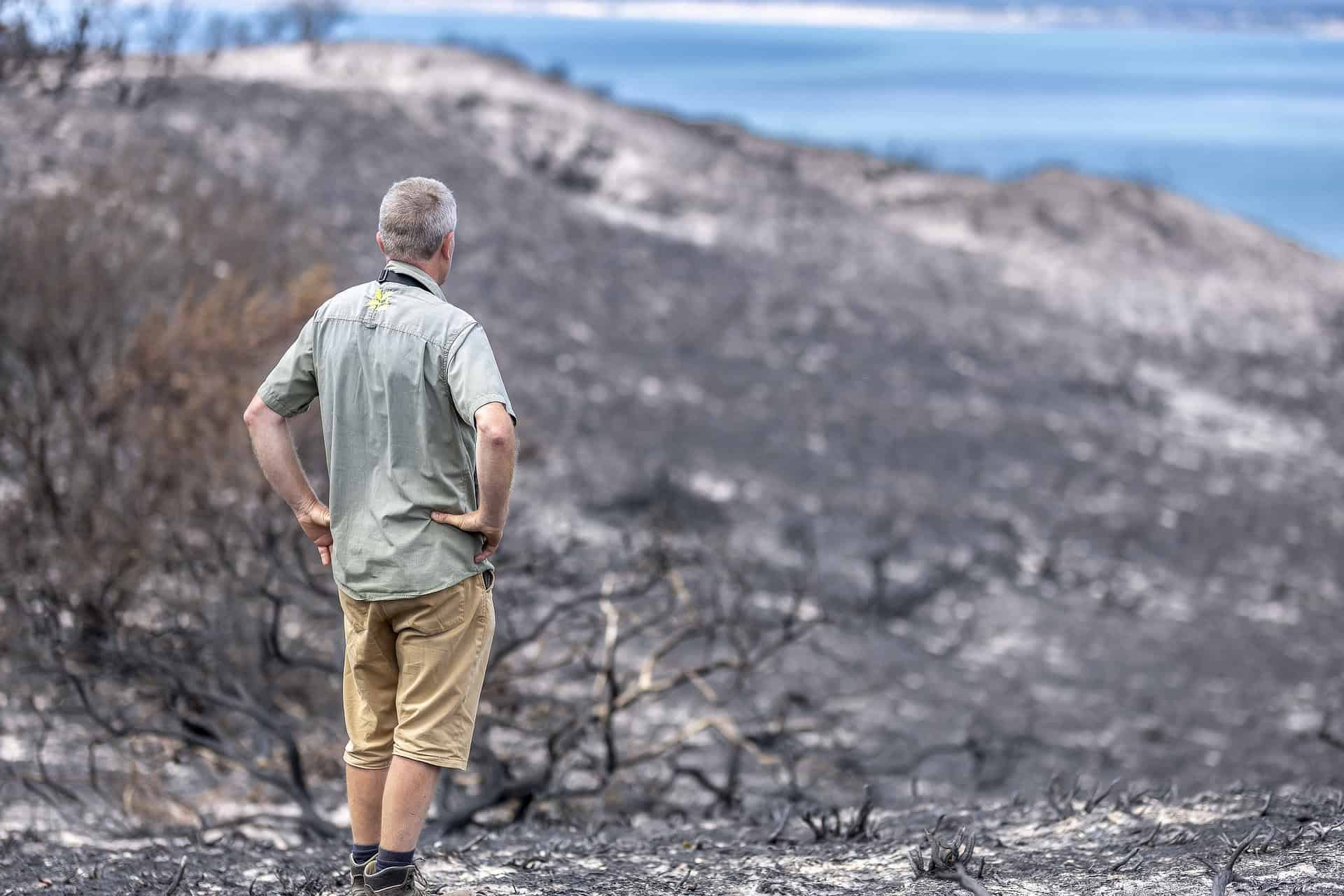 Aftermath and damage from a fire at Headon Warren on the Isle of Wight