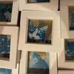 Cyanotype prints of cats
