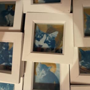 Cyanotype prints of cats
