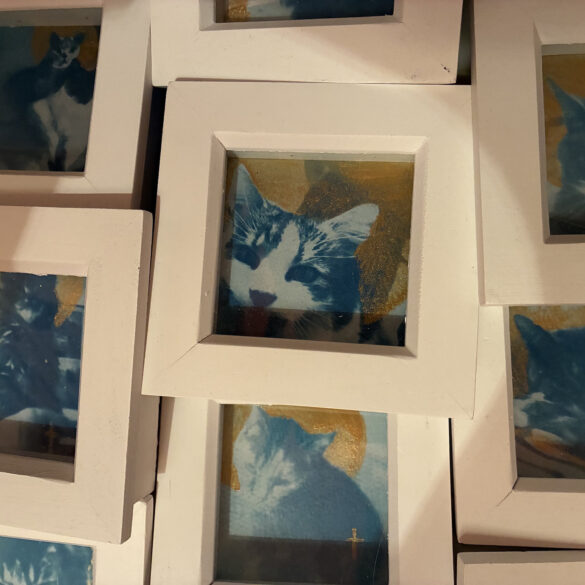 Cyanotype prints of cats