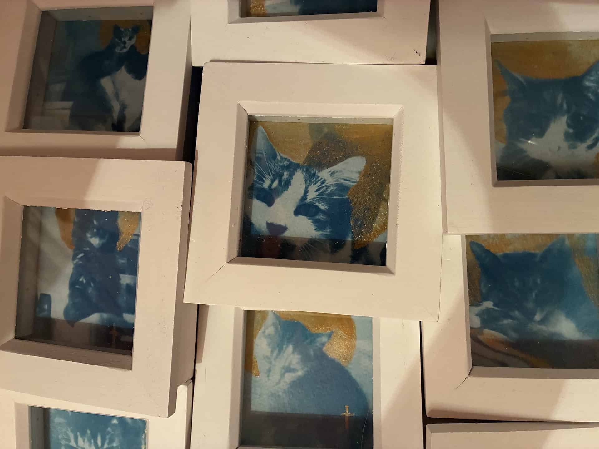 New Ventnor exhibition traces centuries of our fascination with cats