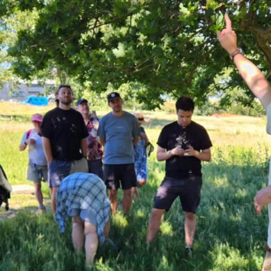Joseph Thurbin on foraging walk
