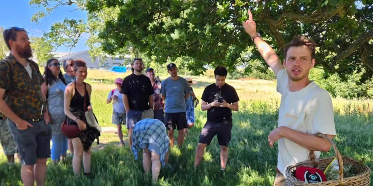 Joseph Thurbin on foraging walk