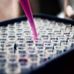 Lab technician putting liquid into test tubes