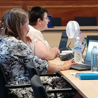 Laura Gaudion - centre right - in council chamber