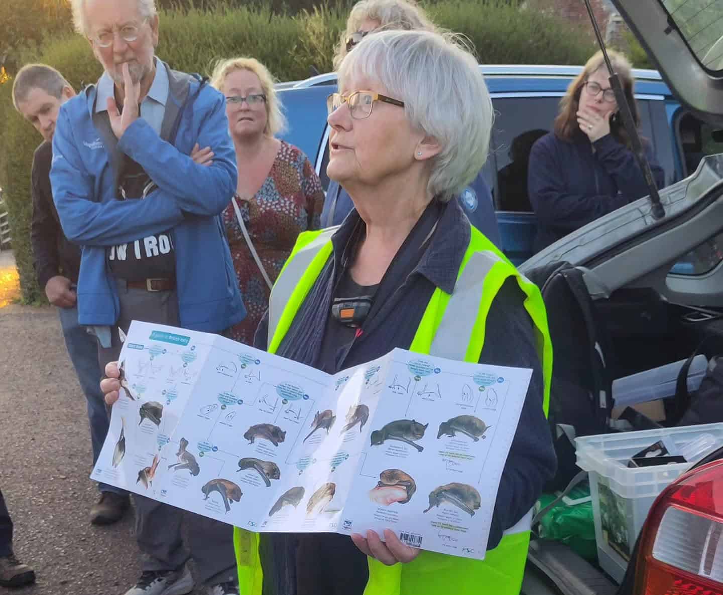 Walk leader teaching attendees about different types of bats