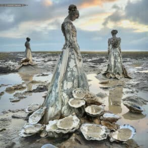 Sandown Siren', a marine sculpture concept by artist Jason de Caires Taylor