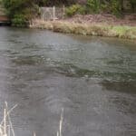 The River Test in Hampshire