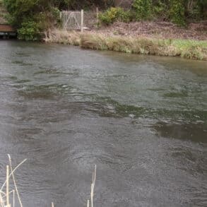 The River Test in Hampshire