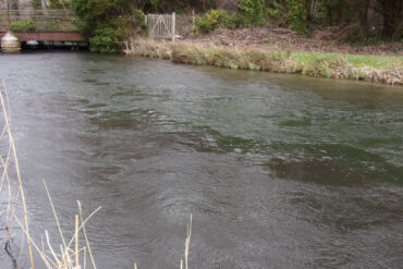 The River Test in Hampshire