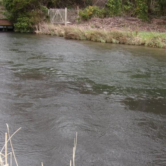 The River Test in Hampshire