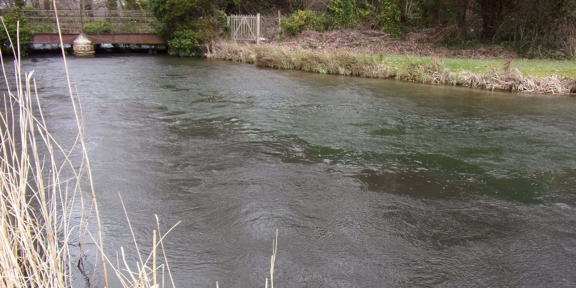 The River Test in Hampshire